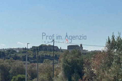 Villa i Carovigno, Brindisi, Carovigno - € 415.000 | Ref: 122738 - foto 29